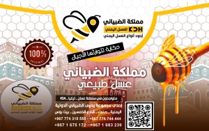 مملكة الضبياني